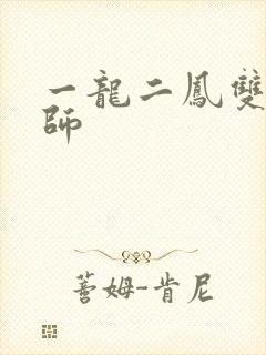一龙二凤双飞老师