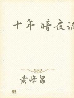十年 暗夜流光