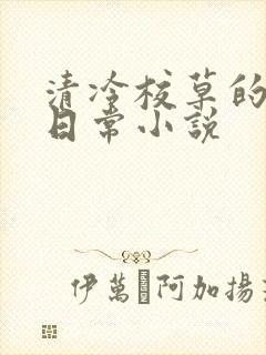 清冷校草的堕落日常小说