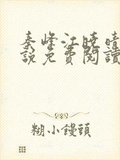 秦峰江晓晴的小说免费阅读