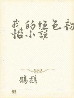 我的绝色韵母郑怡小说