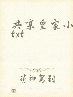 共享皇家小公主txt