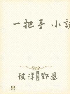 一把手 小说