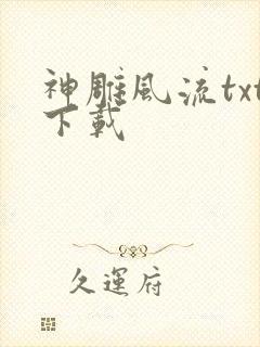 神雕风流txt下载