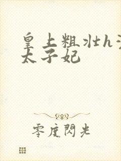 皇上粗壮h灌满太子妃