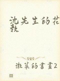 沈先生的花式管教