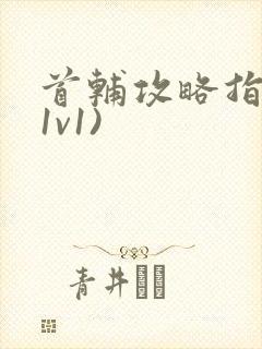 首辅攻略指南(1v1)