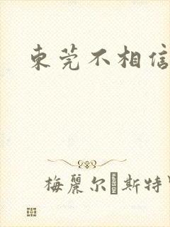 东莞不相信眼泪