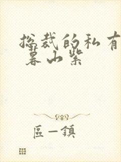 总裁的私有宝贝 暮山紫