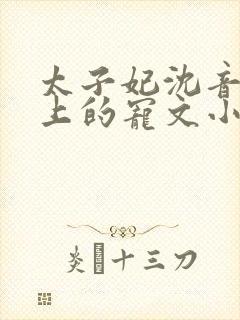 太子妃沈音和皇上的宠文小说