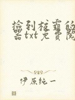 捡到校霸的遥控器txt免费阅读