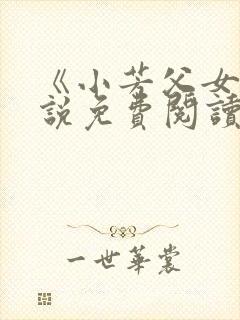 《小芳父女》小说免费阅读