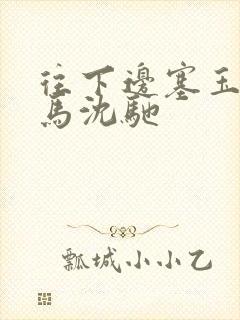 往下边塞玉器骑马沈驰