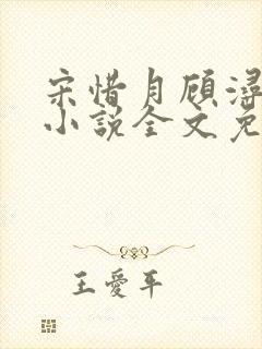 宋惜月顾浔渊的小说全文免费阅读