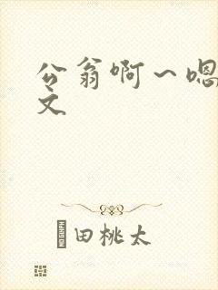 公翁啊～嗯啊h文