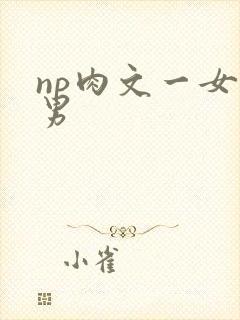 np肉文一女多男