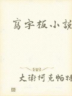 写字板小说