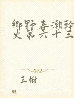 乡野春潮干柴烈火第六十三章