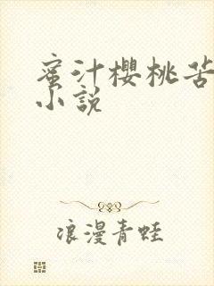 蜜汁樱桃苦咖啡小说