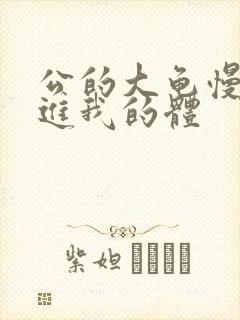 公的大龟慢慢挺进我的体