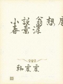 小说 翁想房中春意浓