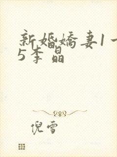 新婚娇妻1一25李晶