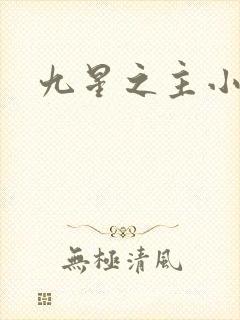 九星之主小说