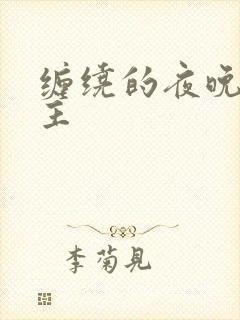 缠绕的夜晚双男主