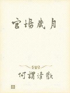 官场岁月封面