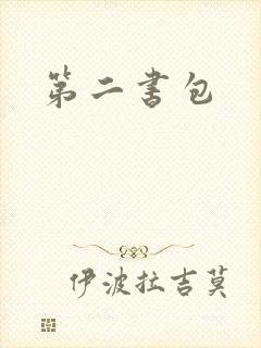 第二书包