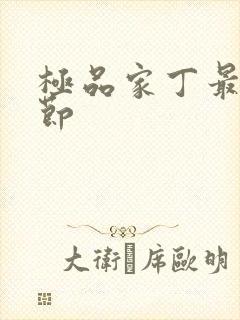 极品家丁最新章节