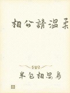 相公请温柔一点