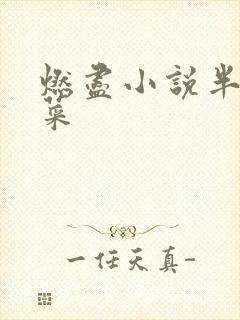 燃尽小说半截白菜