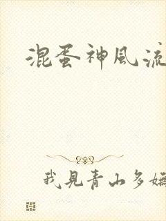 混蛋神风流记