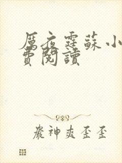 厉夜霆苏小汐免费阅读