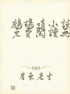 鹧鸪哨小说网站免费阅读无弹窗