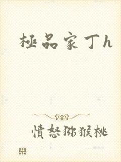 极品家丁h