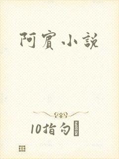 阿宾小说