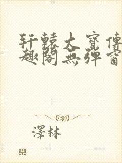 轩辕大宝传奇笔趣阁无弹窗