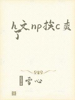 h文np挨c爽了