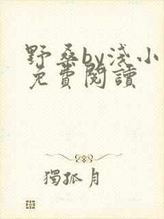 野桑by浅小说免费阅读