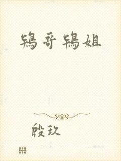 鸨哥鸨姐