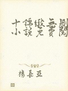 十锦缎无删原著小说免费阅读