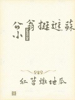 公翁挺进苏玥的小泬