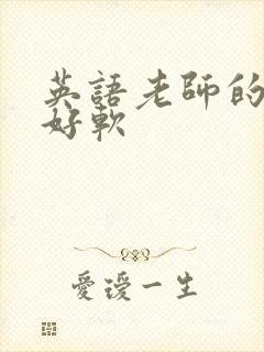 英语老师的兔子好软