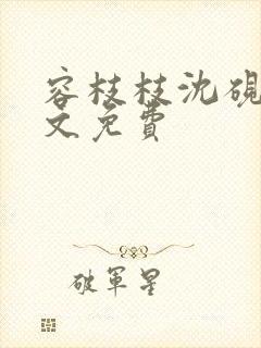 容枝枝沈砚书全文免费