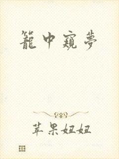 《笼中窥梦》小说封面