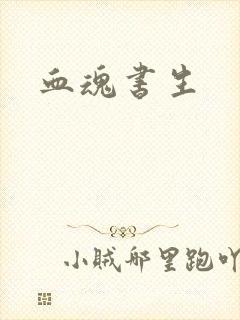 血魂书生