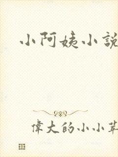 小阿姨小说