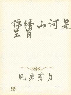 锦绣山河是什么生肖